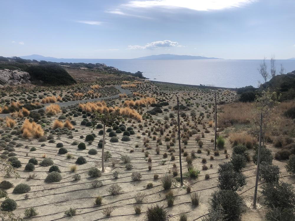 Μονοκατοικία Πάρος